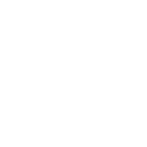 Preliminary assembly