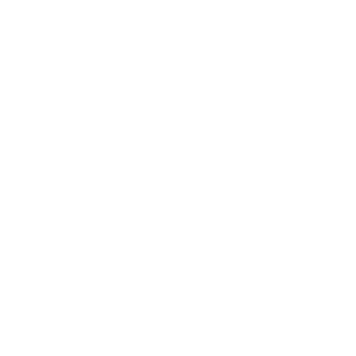 Technical assistance